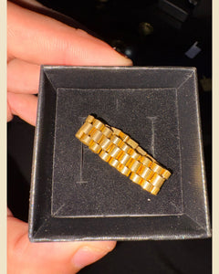 Anillo Articulado